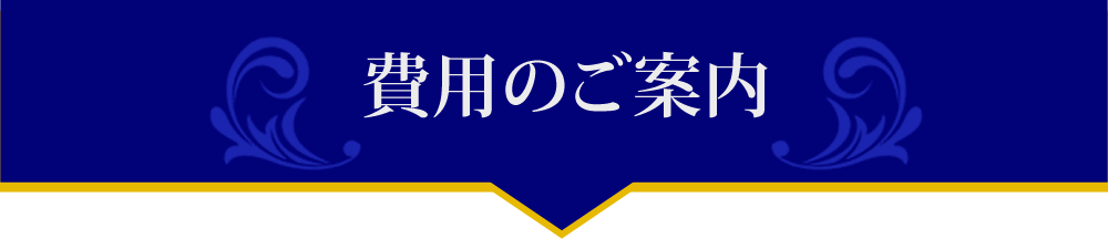 費用のご案内